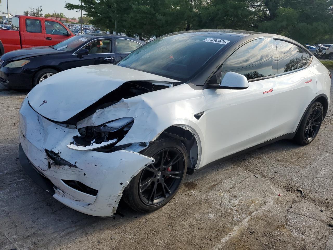 Lot #2962563819 2020 TESLA MODEL Y