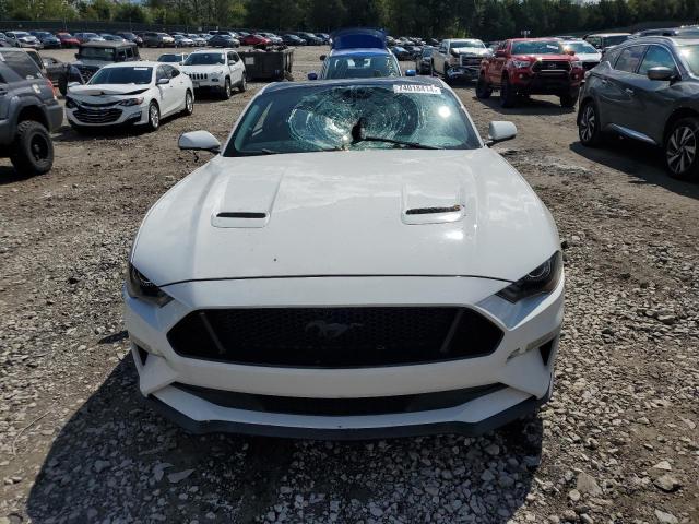 2019 FORD MUSTANG GT - 1FA6P8CF6K5199619
