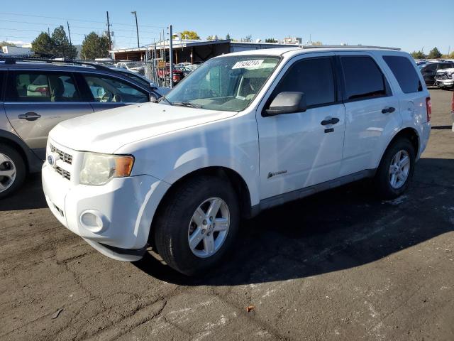 2010 FORD ESCAPE HYB #2977021567