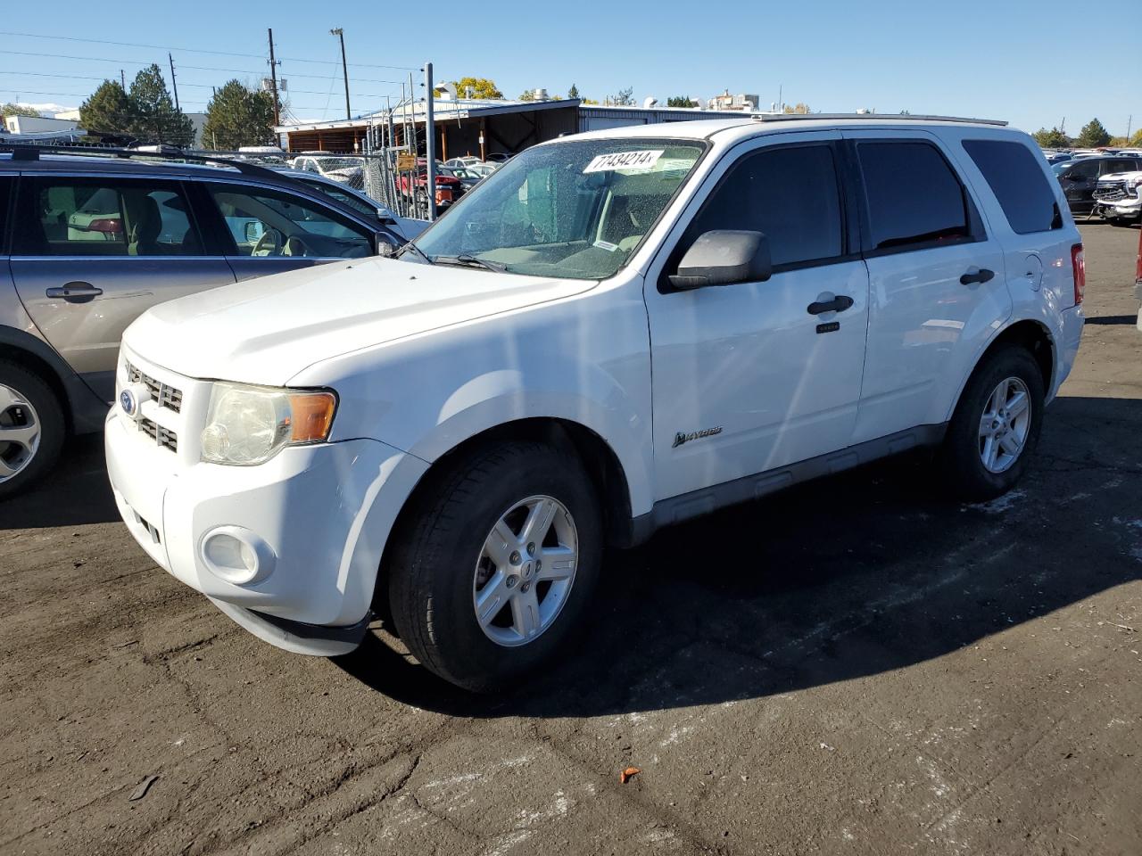 Lot #2977021567 2010 FORD ESCAPE HYB