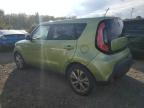 KIA SOUL + photo