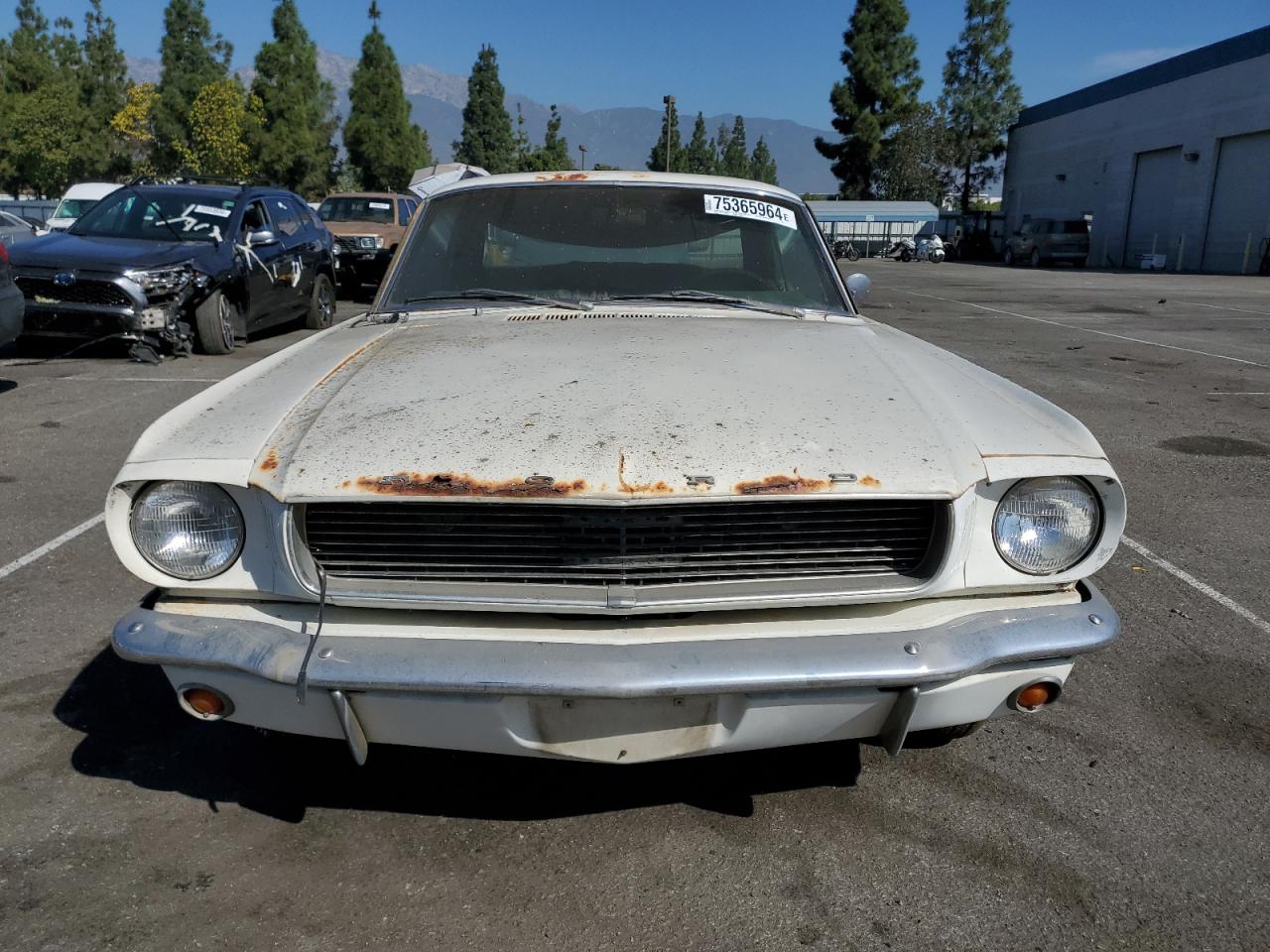 Lot #2986978766 1966 FORD MUSTANG