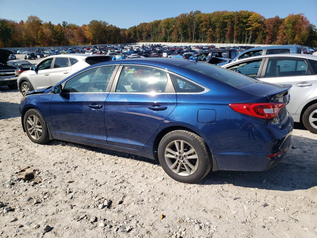 Lot #2994203362 2015 HYUNDAI SONATA SE