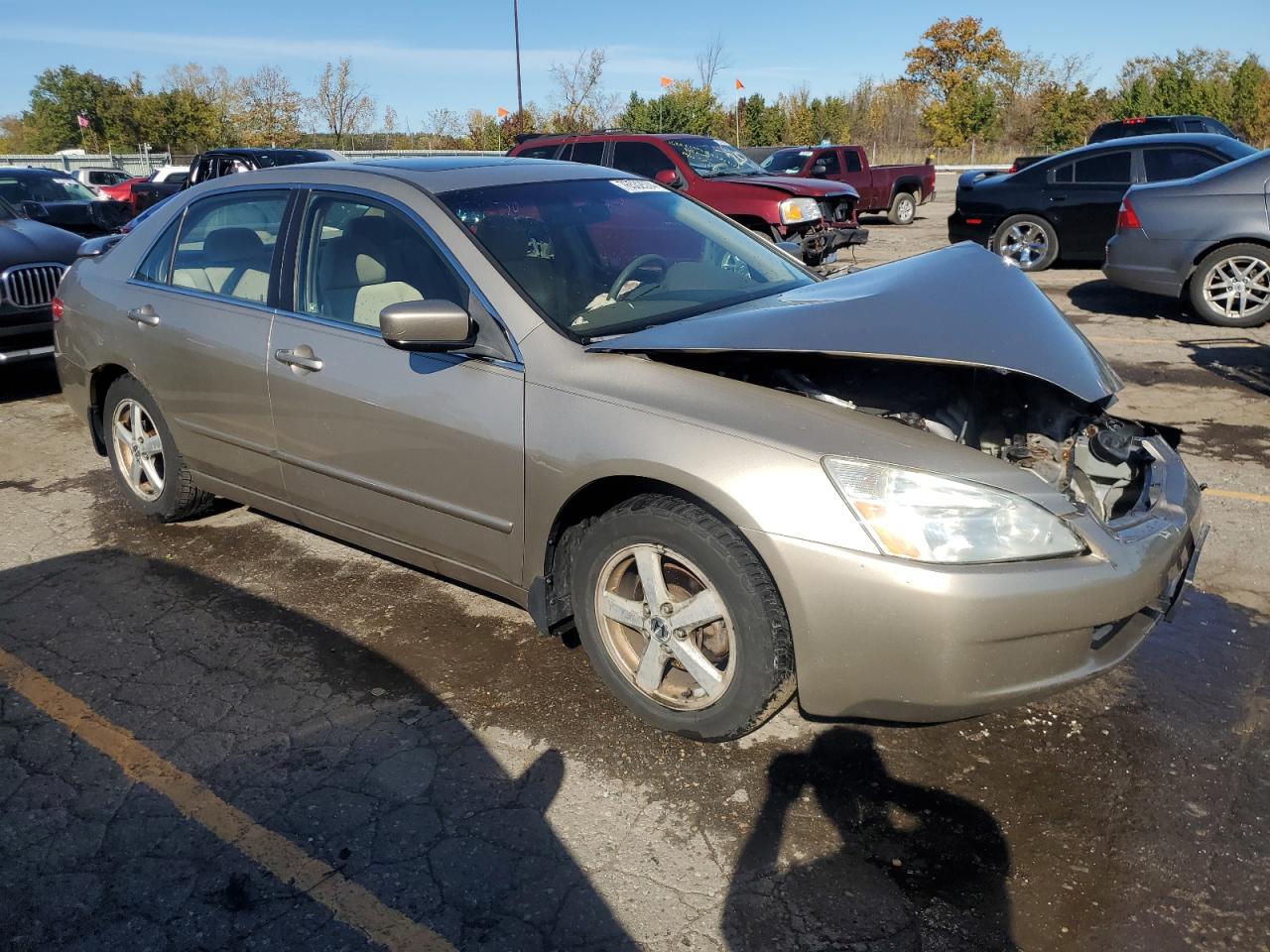 Lot #3031746000 2003 HONDA ACCORD EX