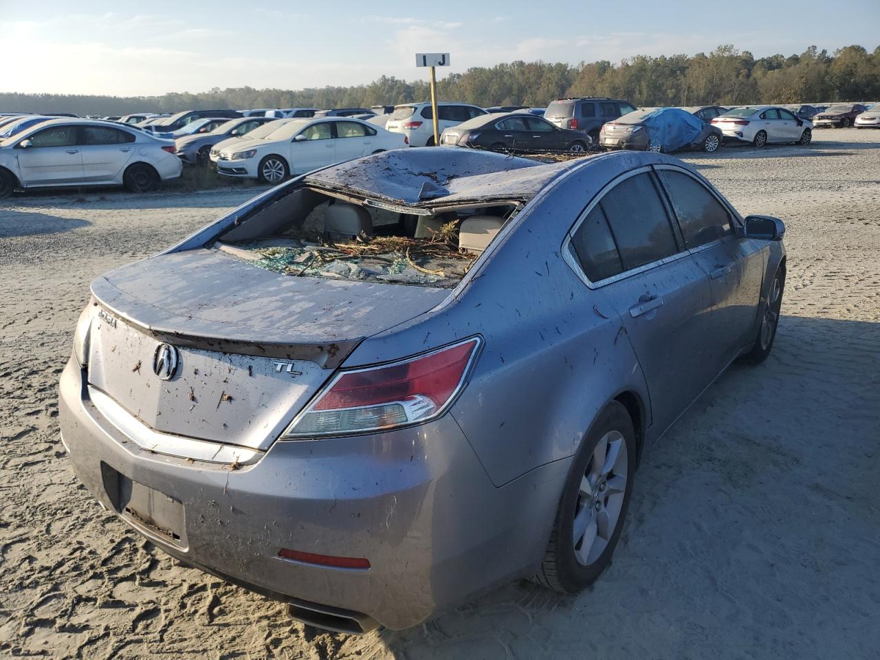 Lot #2926337378 2012 ACURA TL