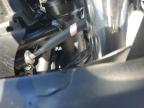 Lot #3024868353 2024 KAWASAKI EX650 P