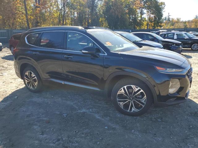 2019 HYUNDAI SANTA FE L - 5NMS5CAA5KH030469