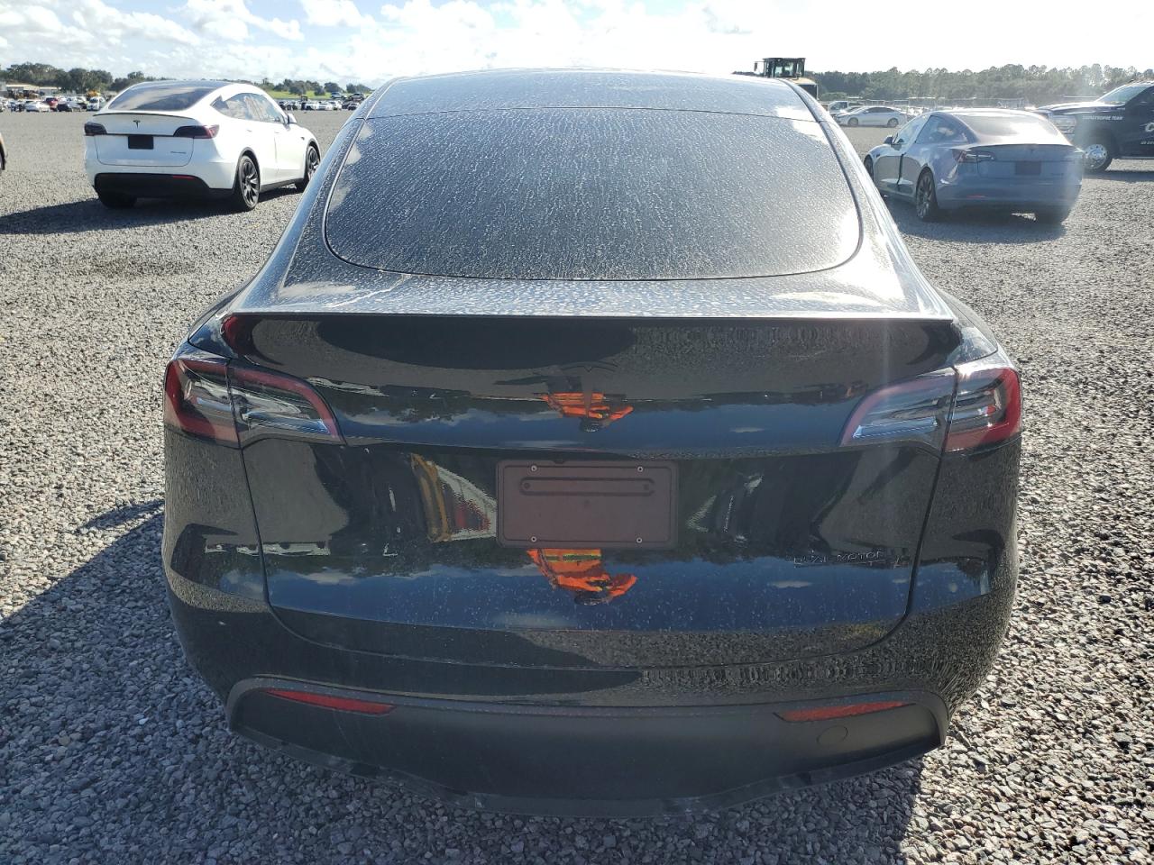 Lot #2989157728 2024 TESLA MODEL Y