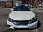 HONDA ACCORD EXL photo