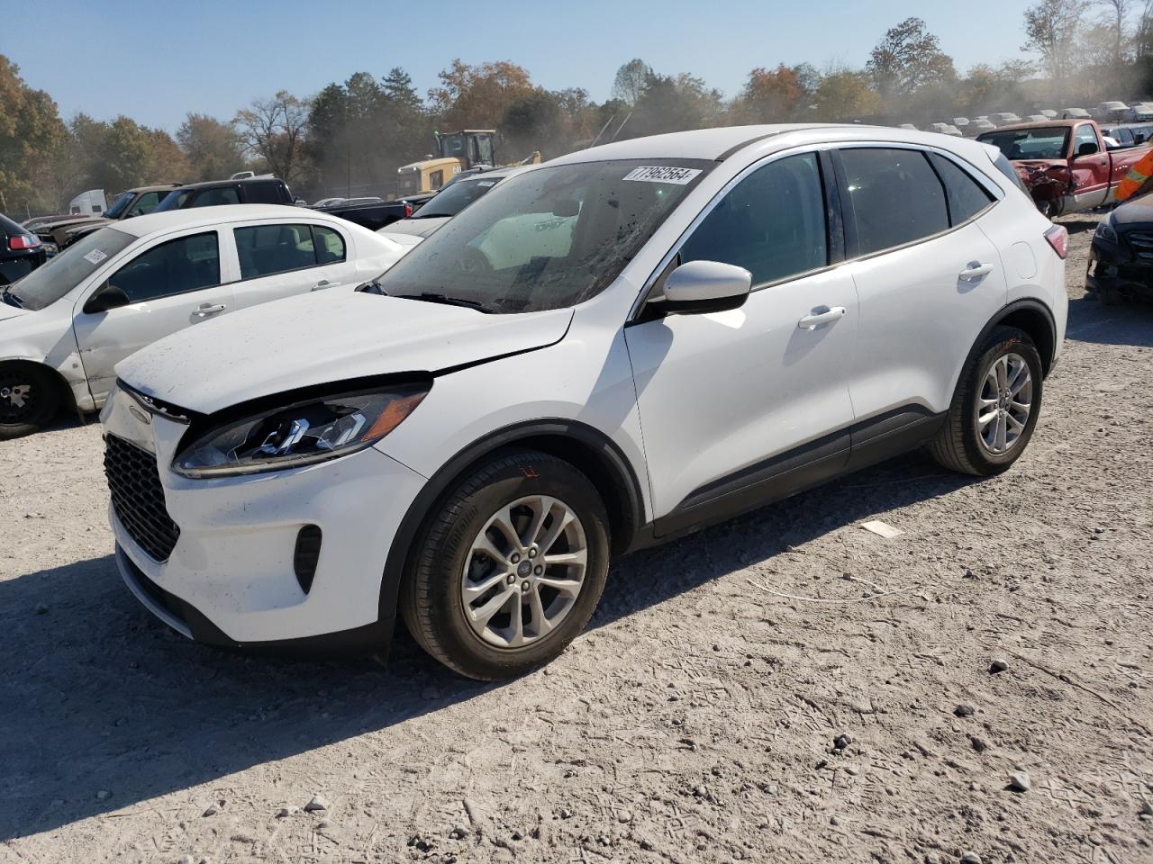 Lot #3024237796 2020 FORD ESCAPE SE