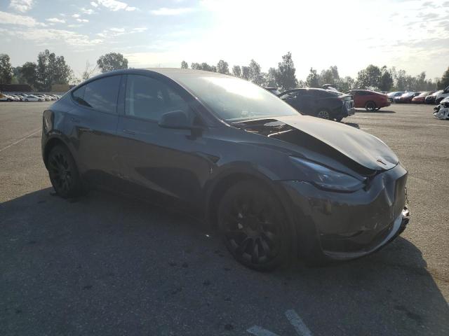 2024 TESLA MODEL Y - 7SAYGDEE5RF082416