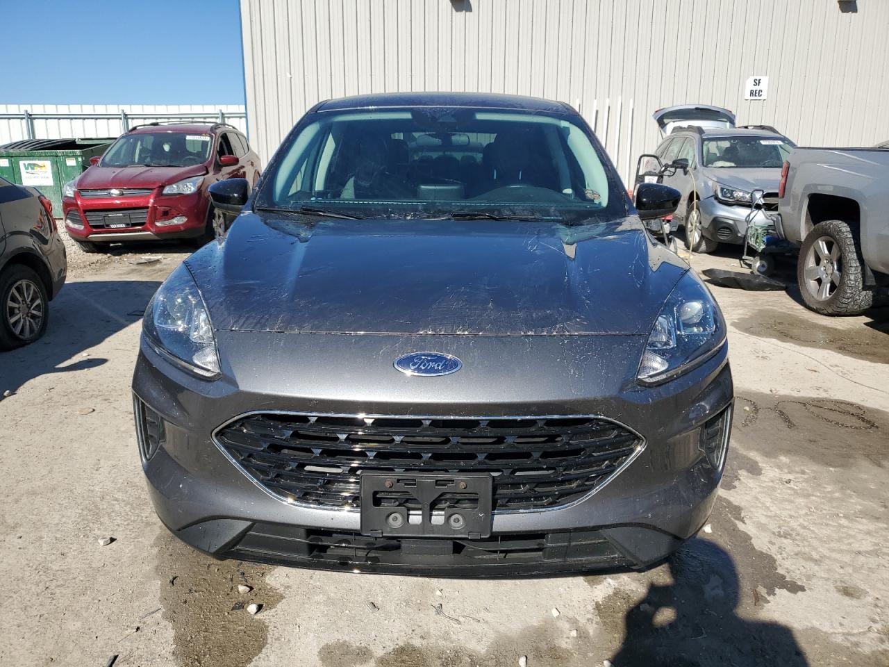 Lot #2977094102 2021 FORD ESCAPE SE