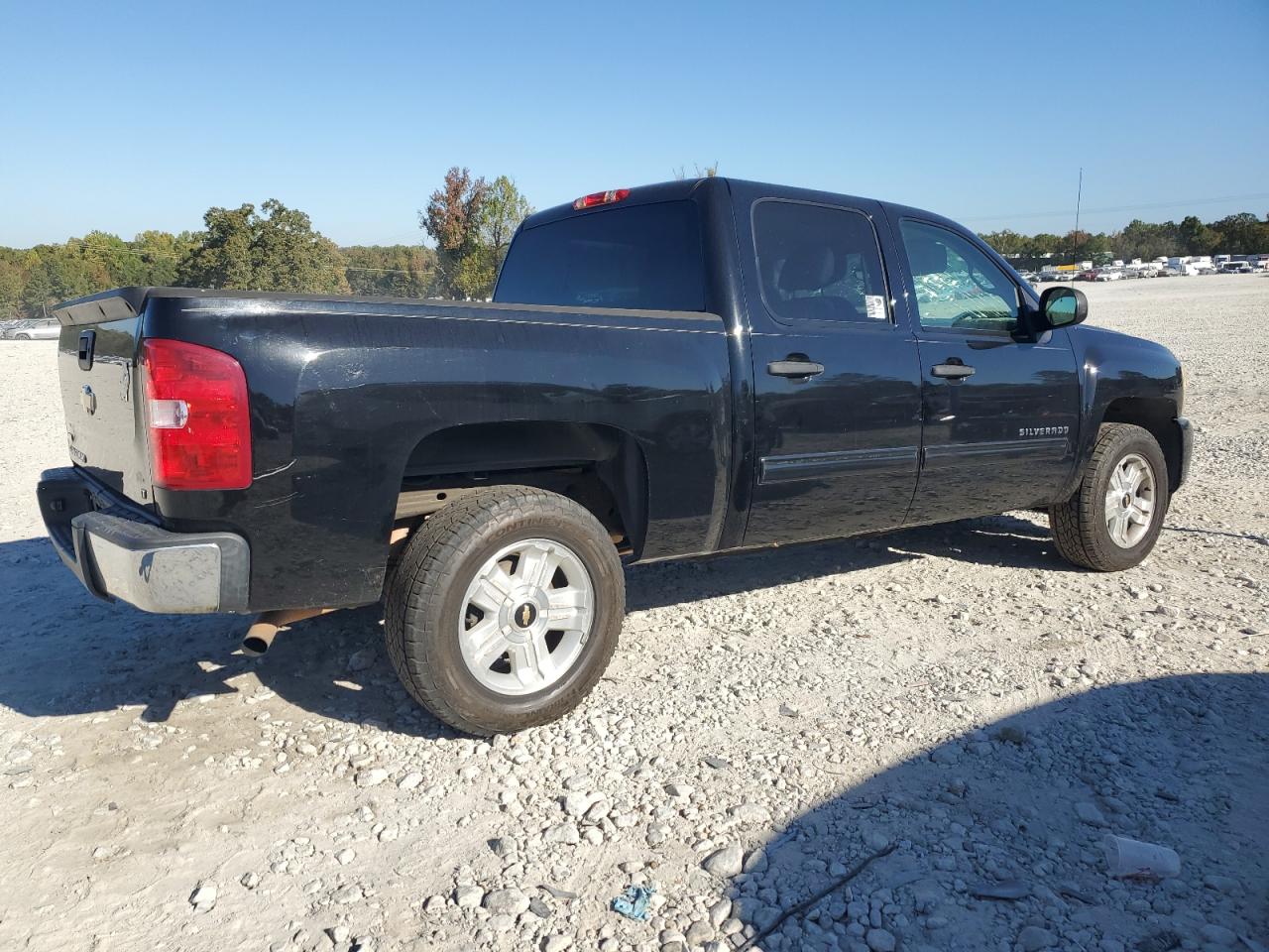 Lot #2955101783 2010 CHEVROLET SILVERADO