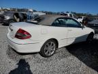 Lot #2928887583 2007 MERCEDES-BENZ CLK 350