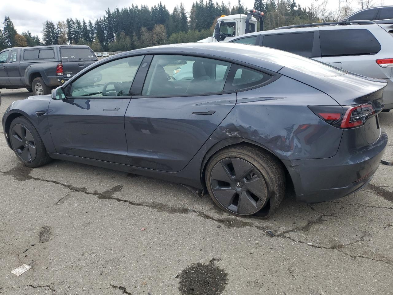 Lot #2989373690 2023 TESLA MODEL 3