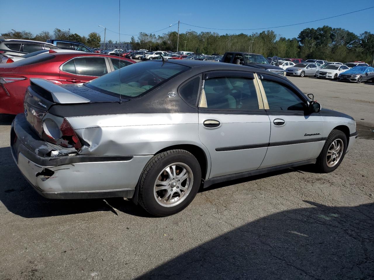 Lot #2954936157 2002 CHEVROLET IMPALA