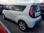 KIA SOUL + photo