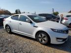 Lot #3024428536 2013 KIA OPTIMA HYB