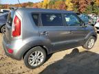 KIA SOUL + photo