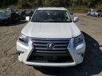 LEXUS GX 460 photo