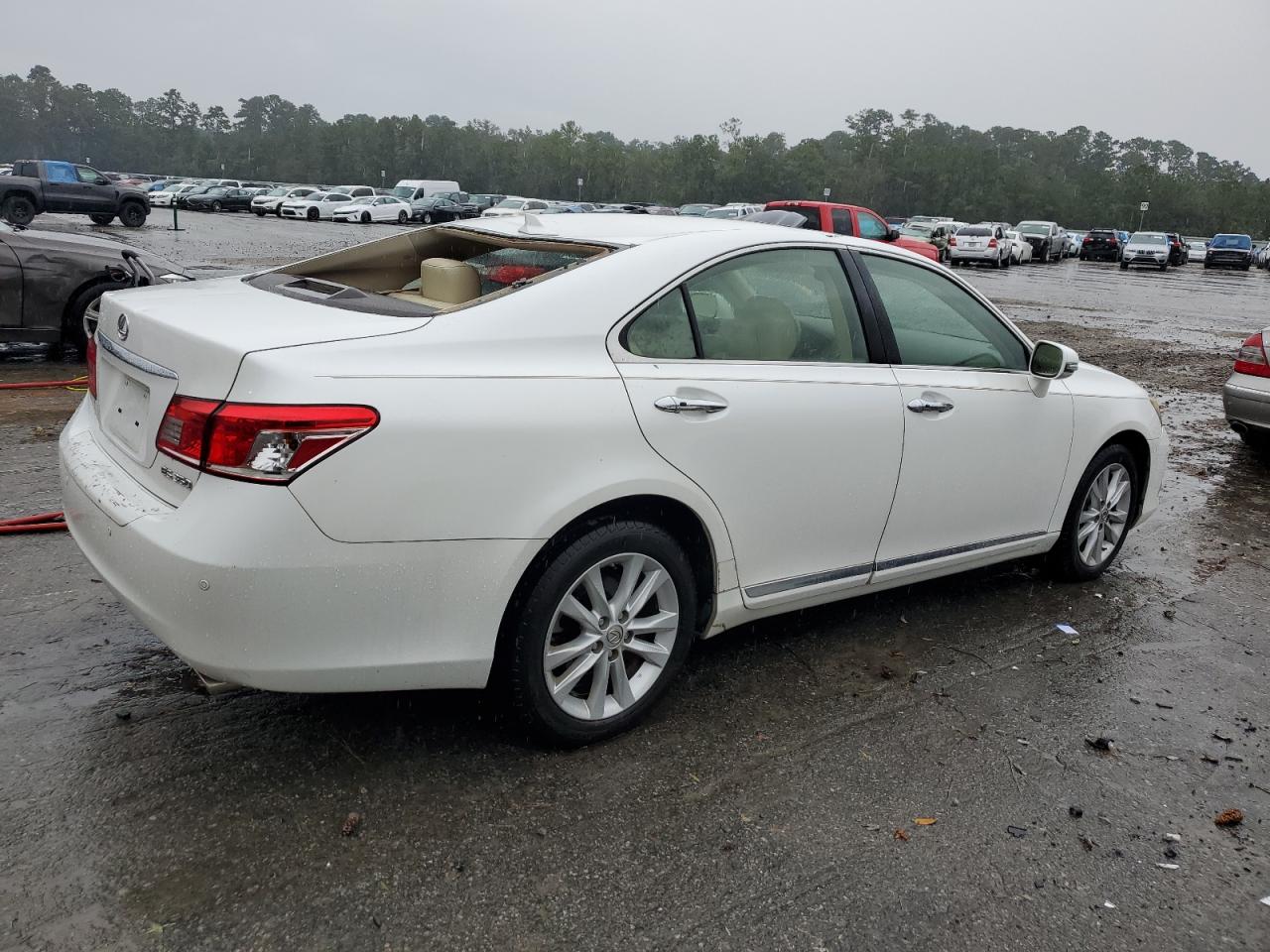 Lot #2991672217 2012 LEXUS ES 350