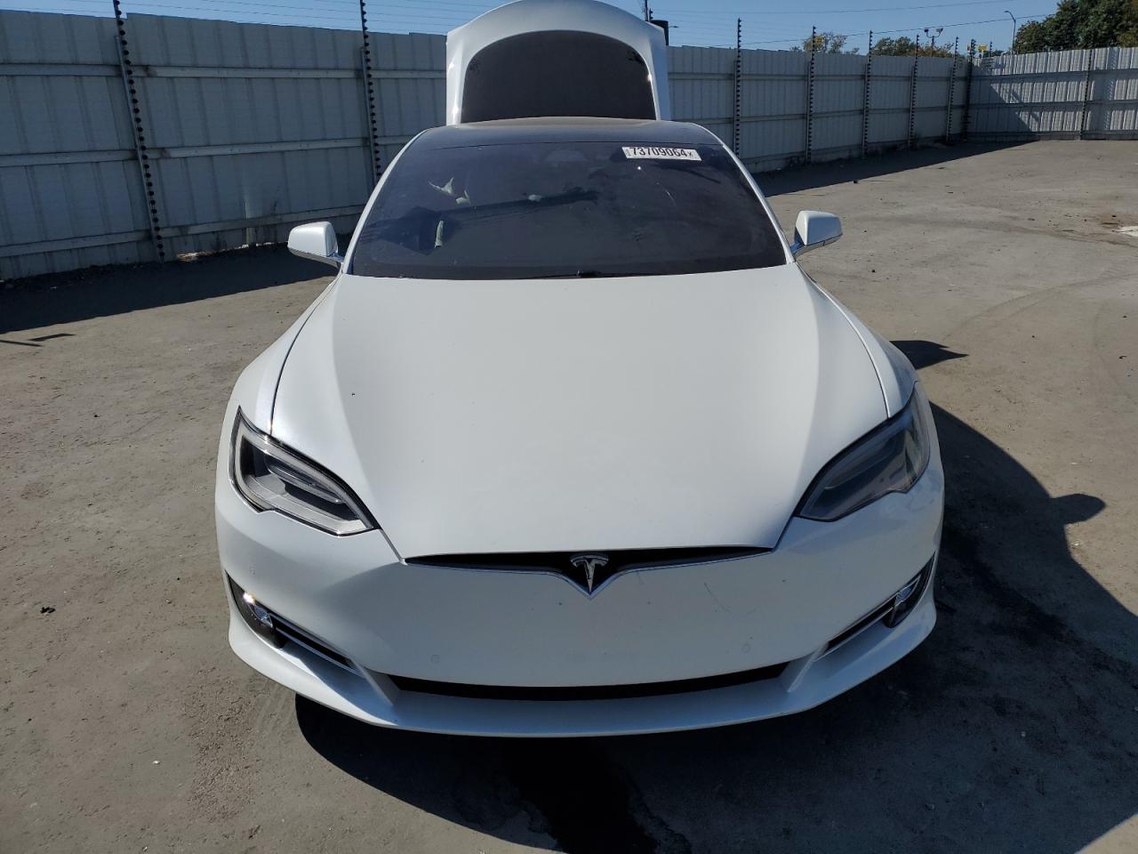 Lot #3028381820 2020 TESLA MODEL S