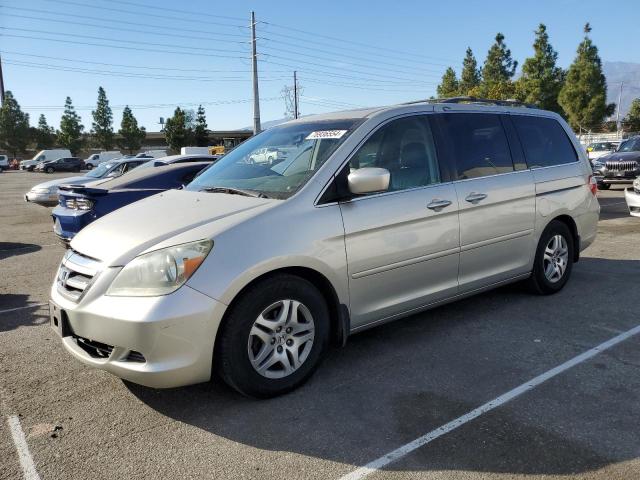 2005 HONDA ODYSSEY EX #3025118238