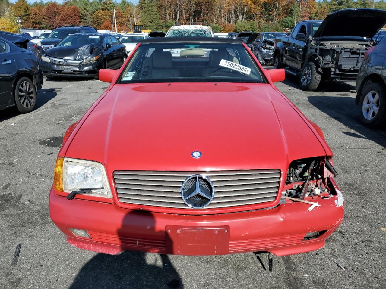 Lot #3008444156 1992 MERCEDES-BENZ 500 SL