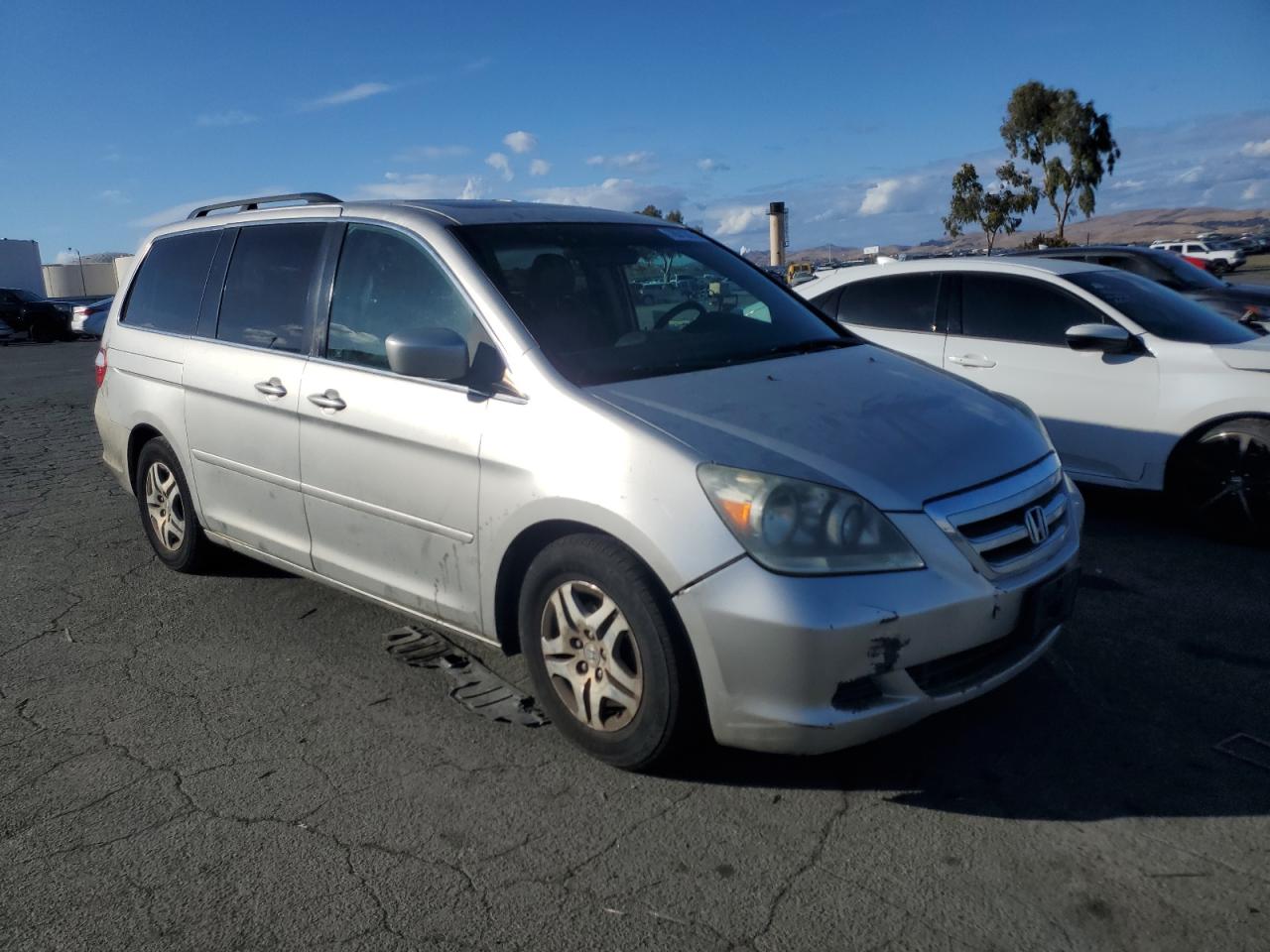 Lot #2994352031 2007 HONDA ODYSSEY EX