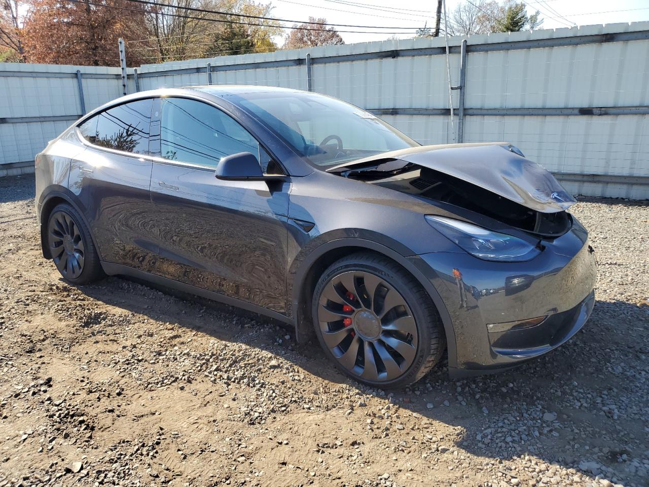 Lot #3030702088 2024 TESLA MODEL Y