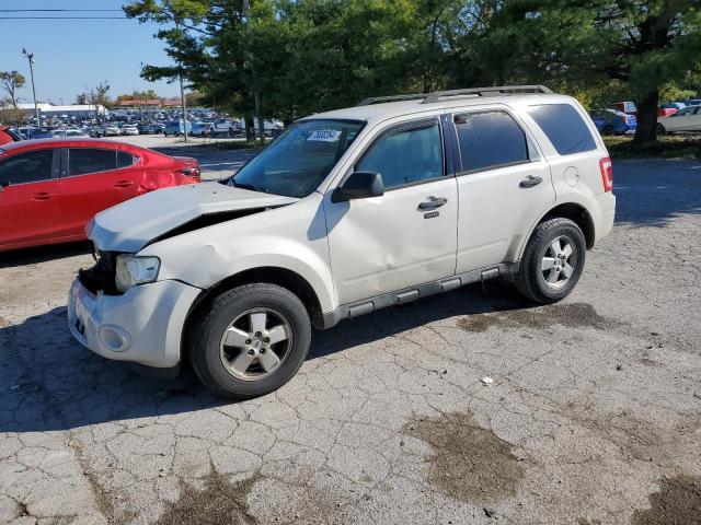 2011 FORD ESCAPE XLT 2011