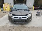 Lot #3023999205 2011 FORD EDGE SEL