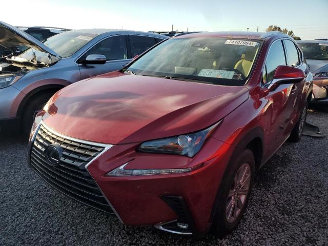 2020 LEXUS NX 300 BAS #2991617172