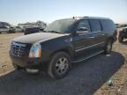 Lot #3025206676 2008 CADILLAC ESCALADE E