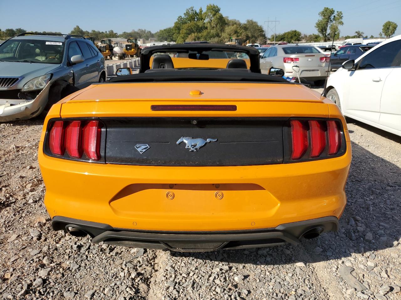 Lot #2891036245 2019 FORD MUSTANG