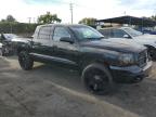 Lot #3024803422 2006 DODGE DAKOTA QUA