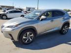 2021 LEXUS NX 300 BAS - JTJGARBZ1M5034644
