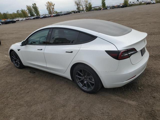 2021 TESLA MODEL 3 - 5YJ3E1EA7MF031002