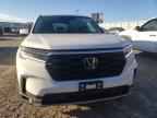 HONDA PILOT EXL photo