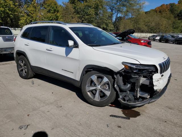 2019 JEEP CHEROKEE L - 1C4PJMDN8KD158395