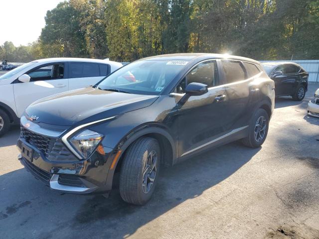 Vin: kndpucaf7p7206263, lot: 75604404, kia sportage lx 2023 img_1