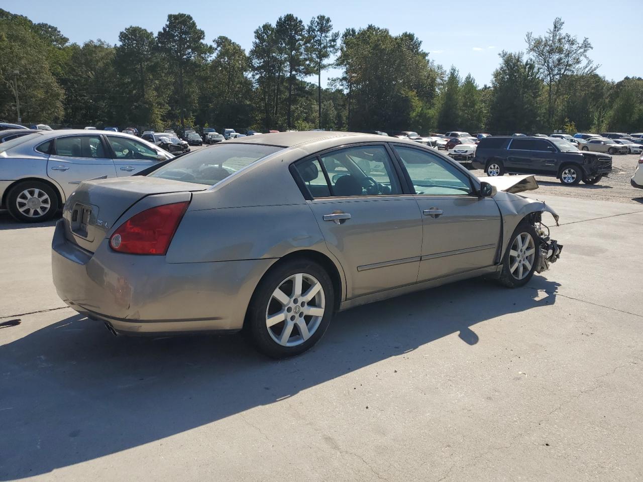 Lot #3003932500 2005 NISSAN MAXIMA SE