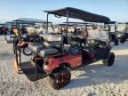 Lot #3038136861 2020 ASPT GOLF CART