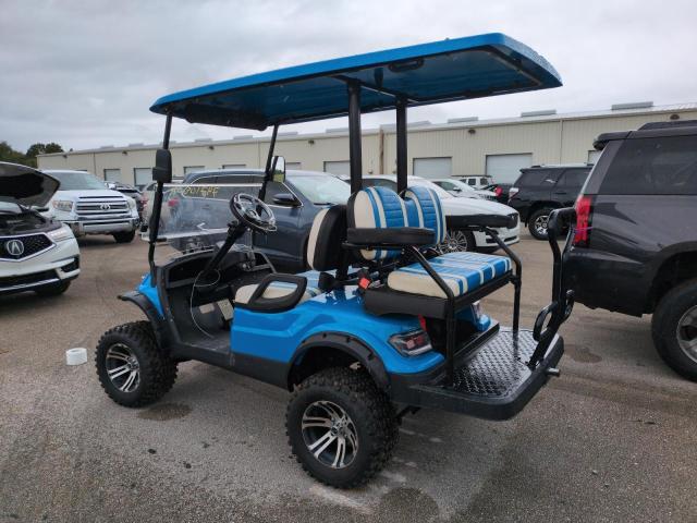 ASPT GOLF CART 2023 blue   FLA127808 photo #4