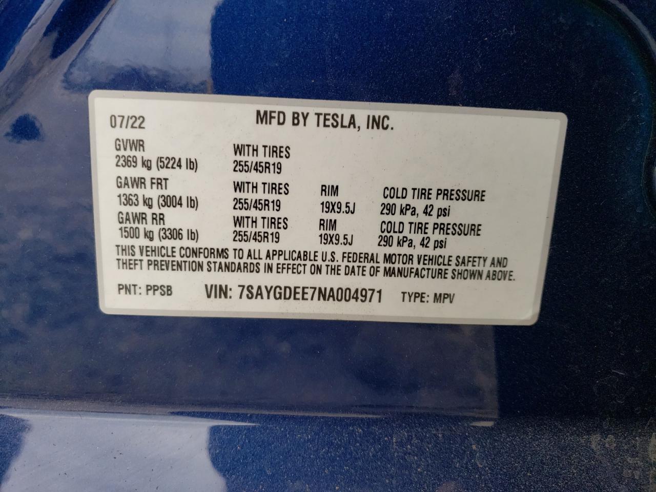 Lot #2955567546 2022 TESLA MODEL Y