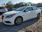 2017 HYUNDAI SONATA HYB - KMHE34L12HA054099