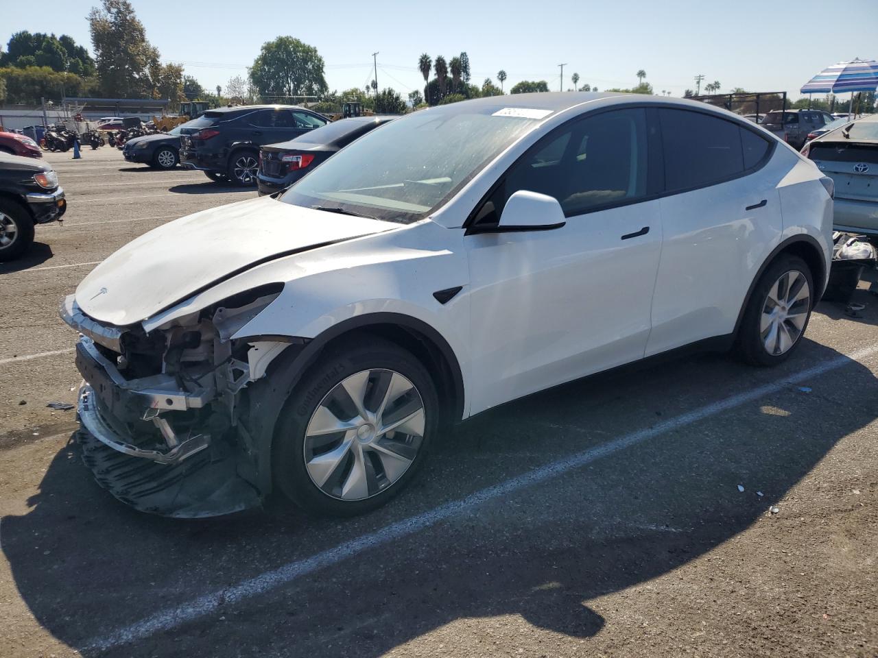 Lot #3030426502 2023 TESLA MODEL Y