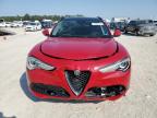 ALFA ROMEO STELVIO photo