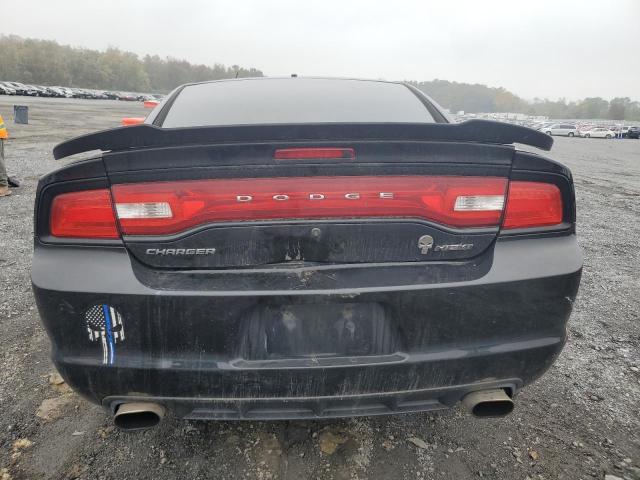 VIN 2C3CDXAT8DH521881 2013 Dodge Charger, Police no.6