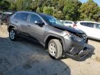 TOYOTA RAV4 XLE photo